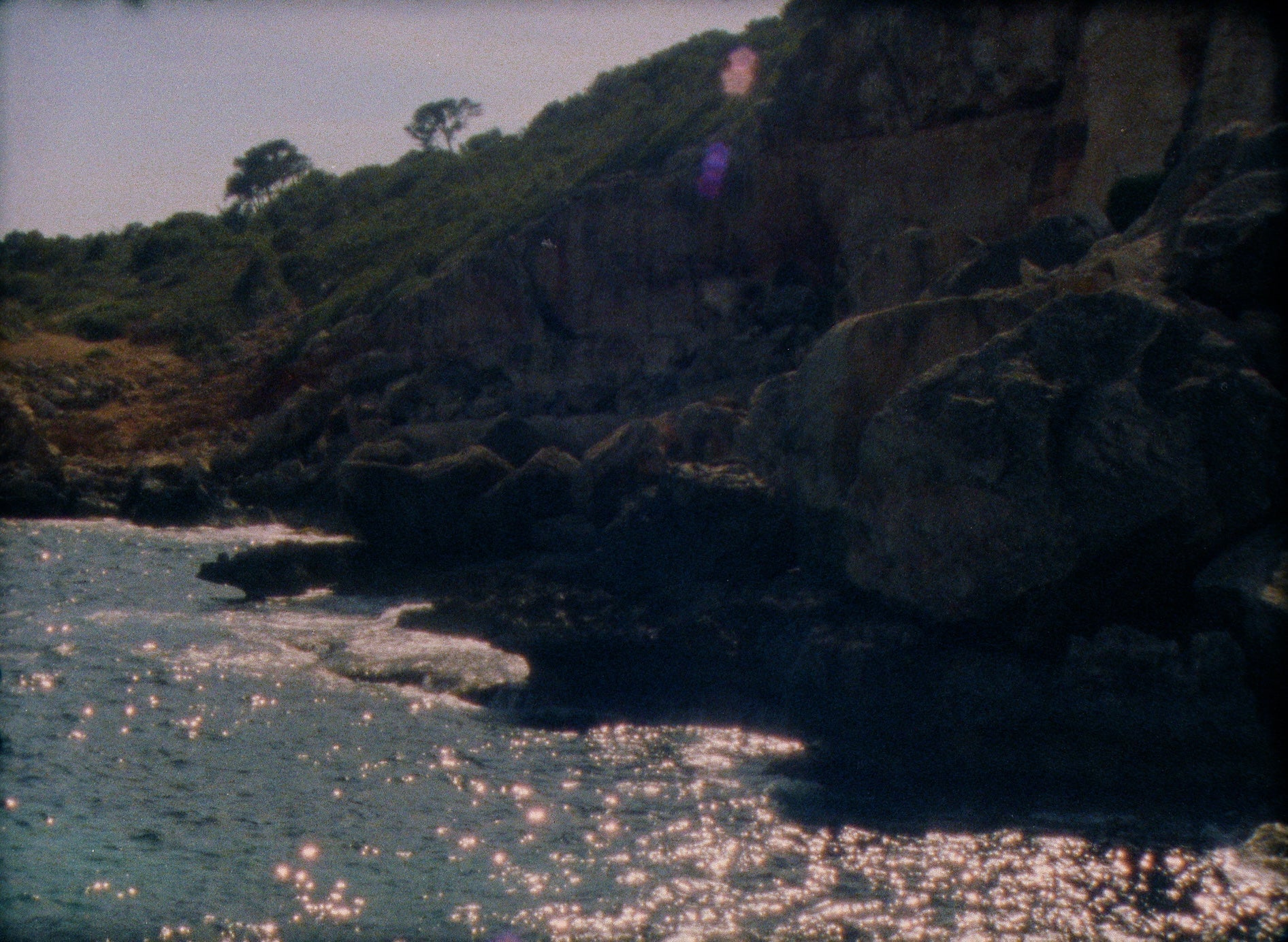 Acqua Pura