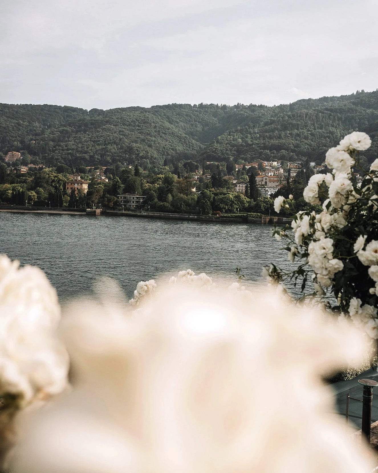 Travel / Shop By Fragrance / Rive