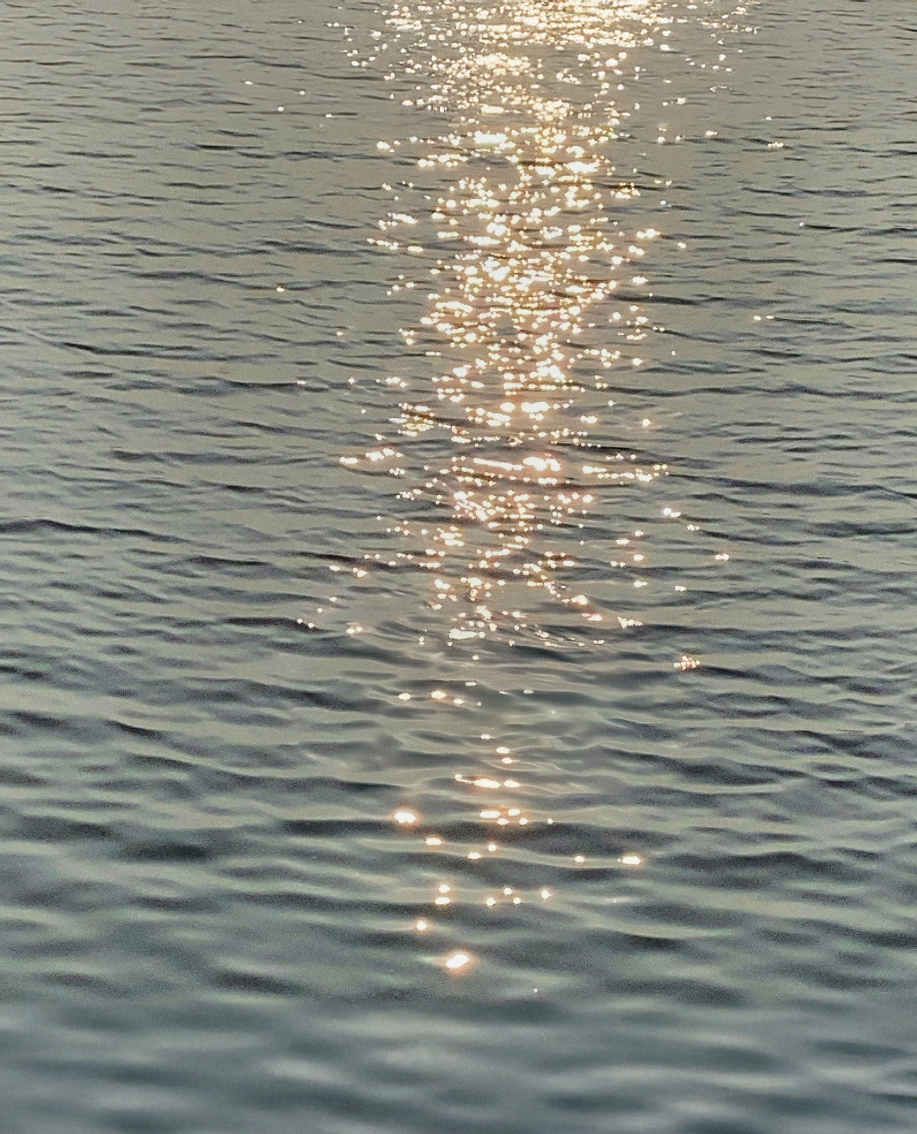 Le Soir
