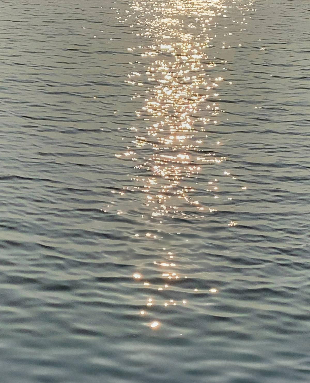 Le Soir