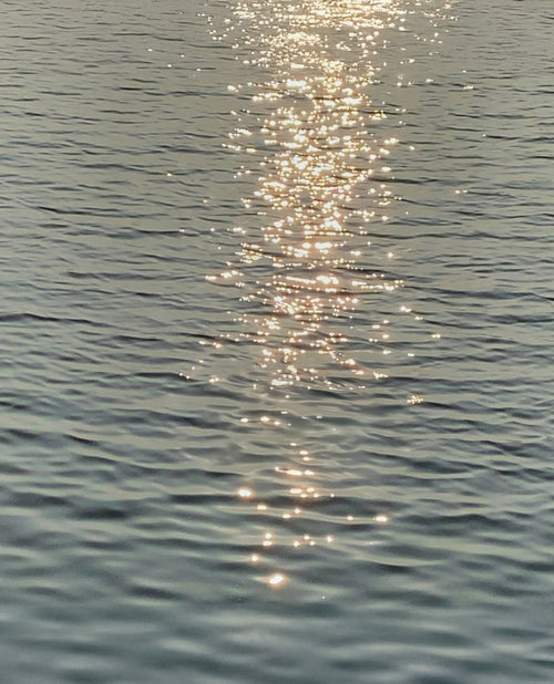 Le Soir