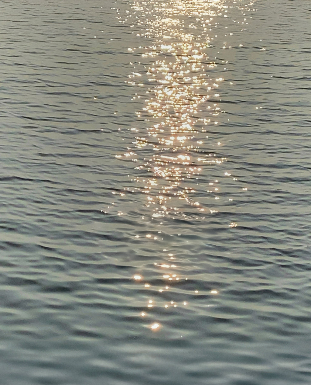 Le Soir