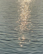 Le Soir